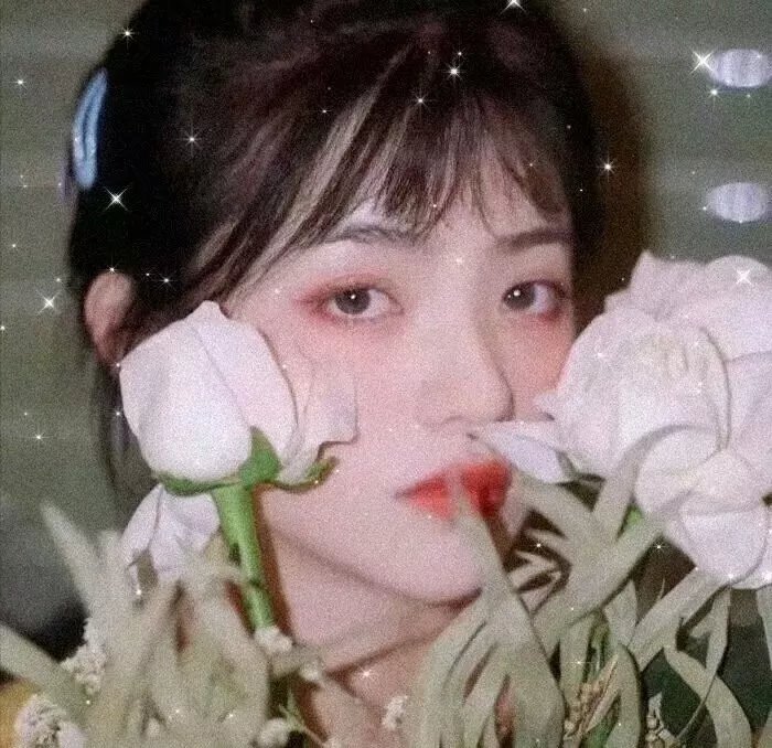 海狸