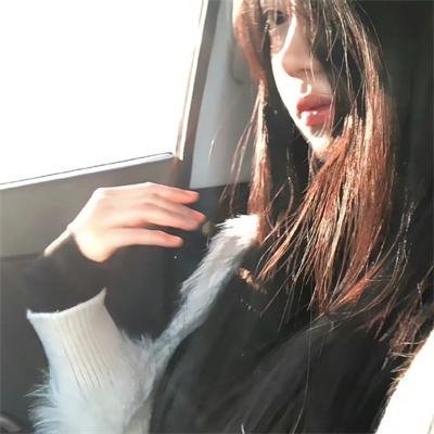 秋田犬蓬夫
